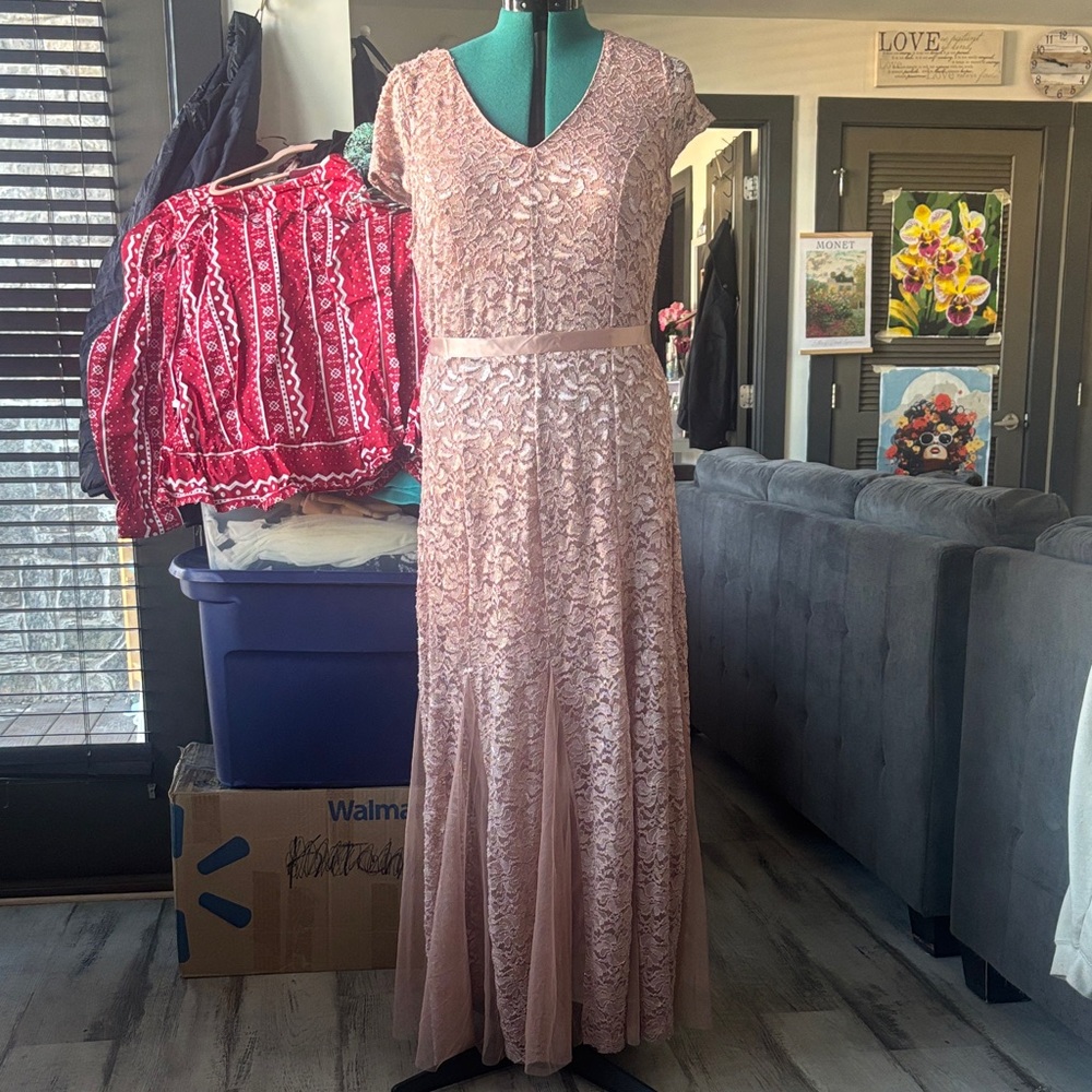 Blush Lace V-Neck Evening Dress - Elegant Women's Gown - Picture 1 of 6